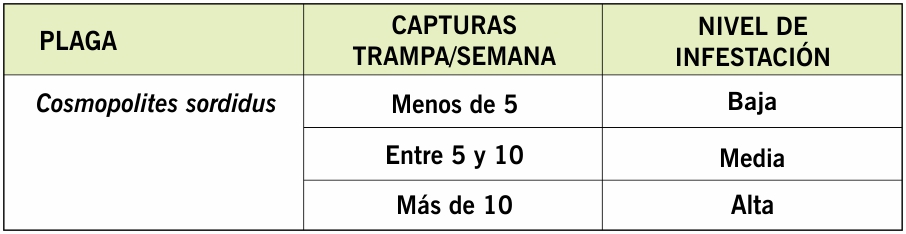 capturas de cosmopolite sordidus